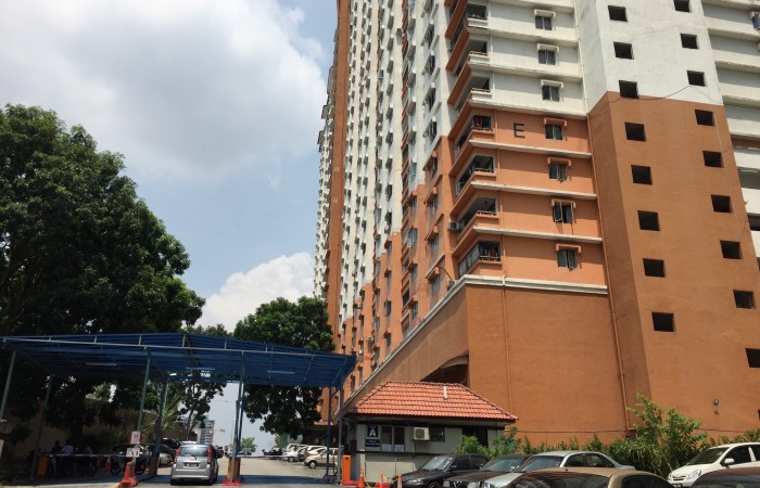 FLORA DAMANSARA, DAMANSARA PERDANA